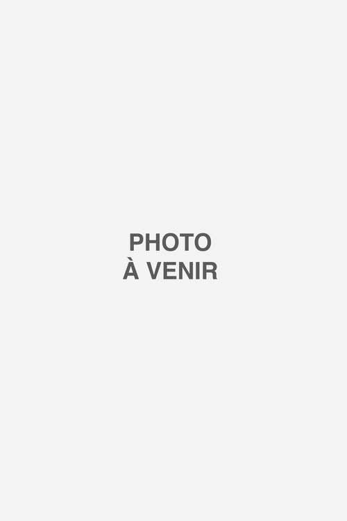 Image Section